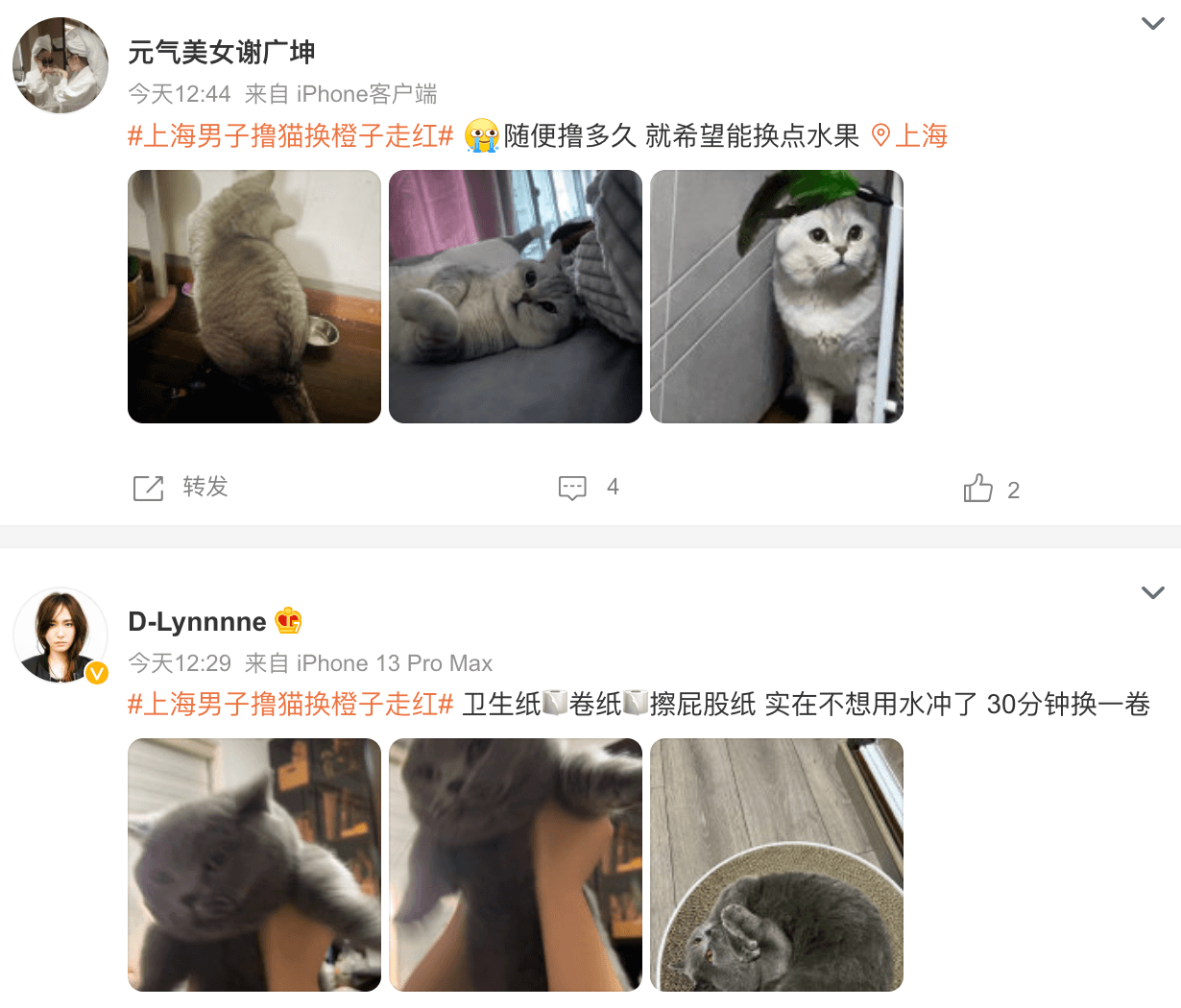 中國網友將自家貓咪推出去「賣身」換物資。(翻攝自微博)