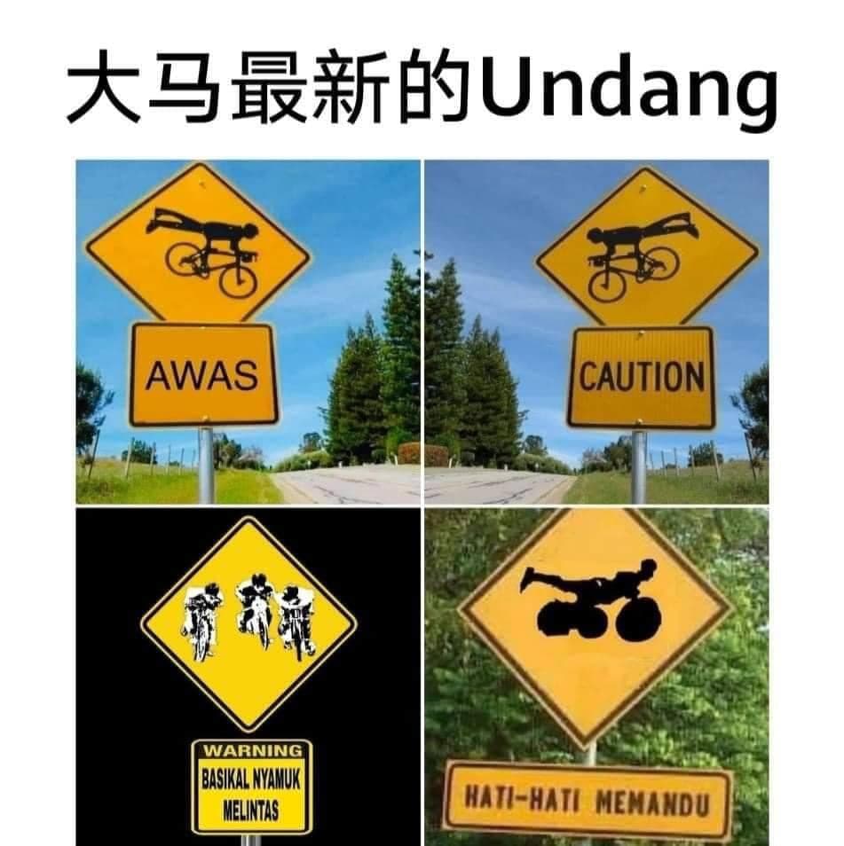 沈可婷的判決引發譁然,網路上不少大馬網友轉發蚊車黨相關貼圖表示抗議。(翻攝自臉書)