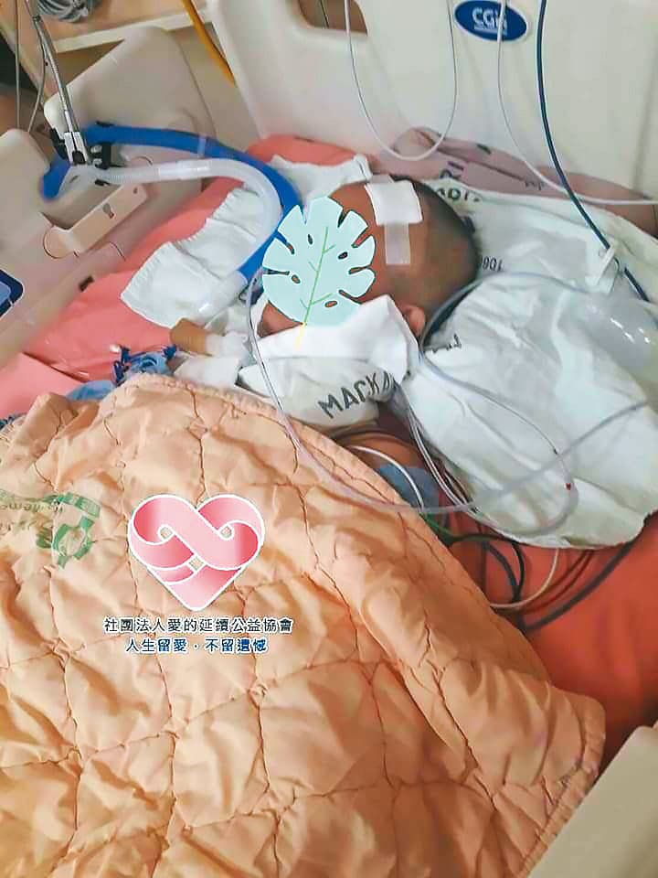 去年初,許姓少年3度病發進行手術,但術後復原狀況不佳。(讀者提供)