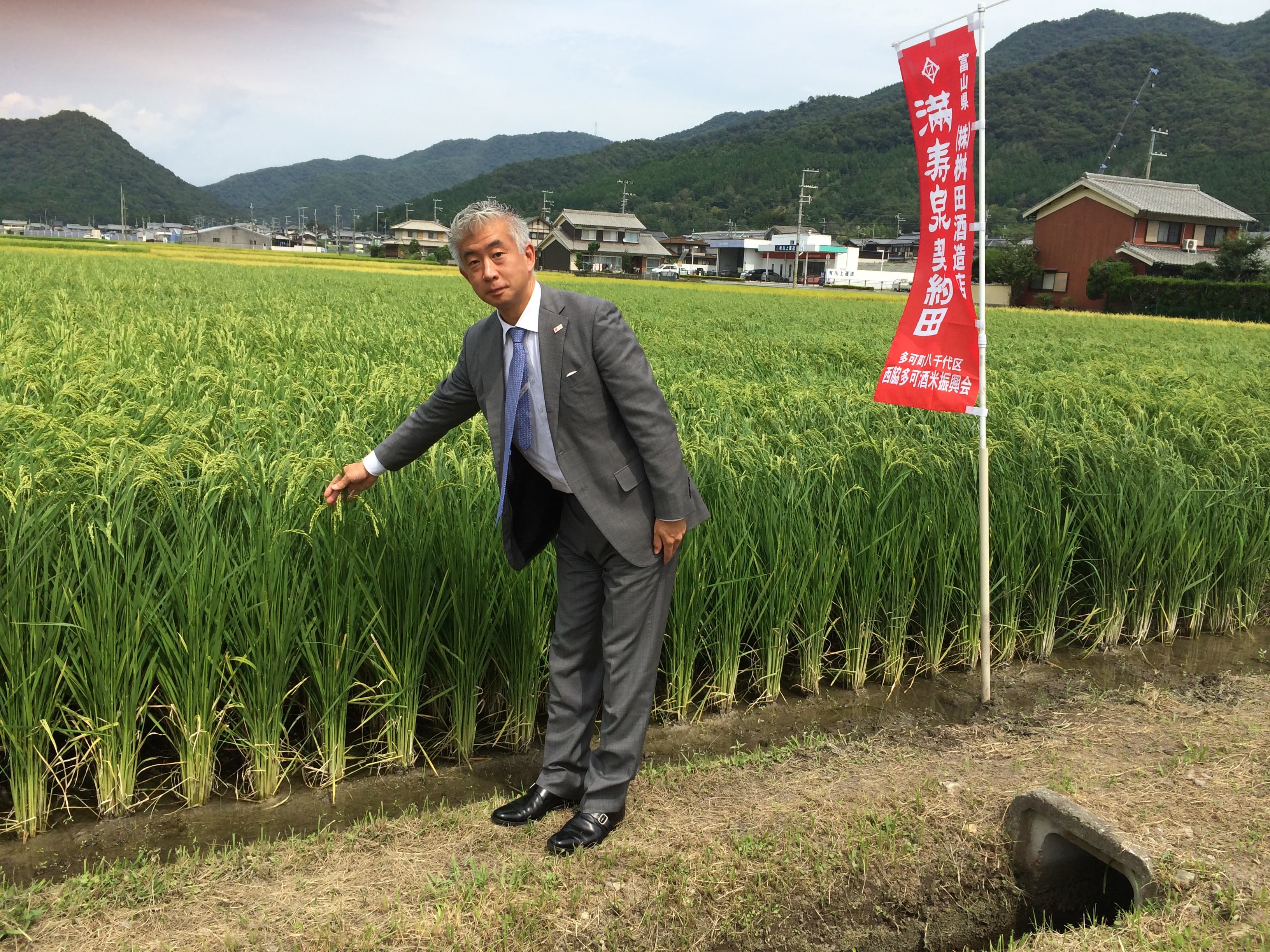 出產滿壽泉清酒的「桝田酒造店」第五代藏元桝田隆一郎，展示自家栽培的山田錦酒米。（乾杯提供）