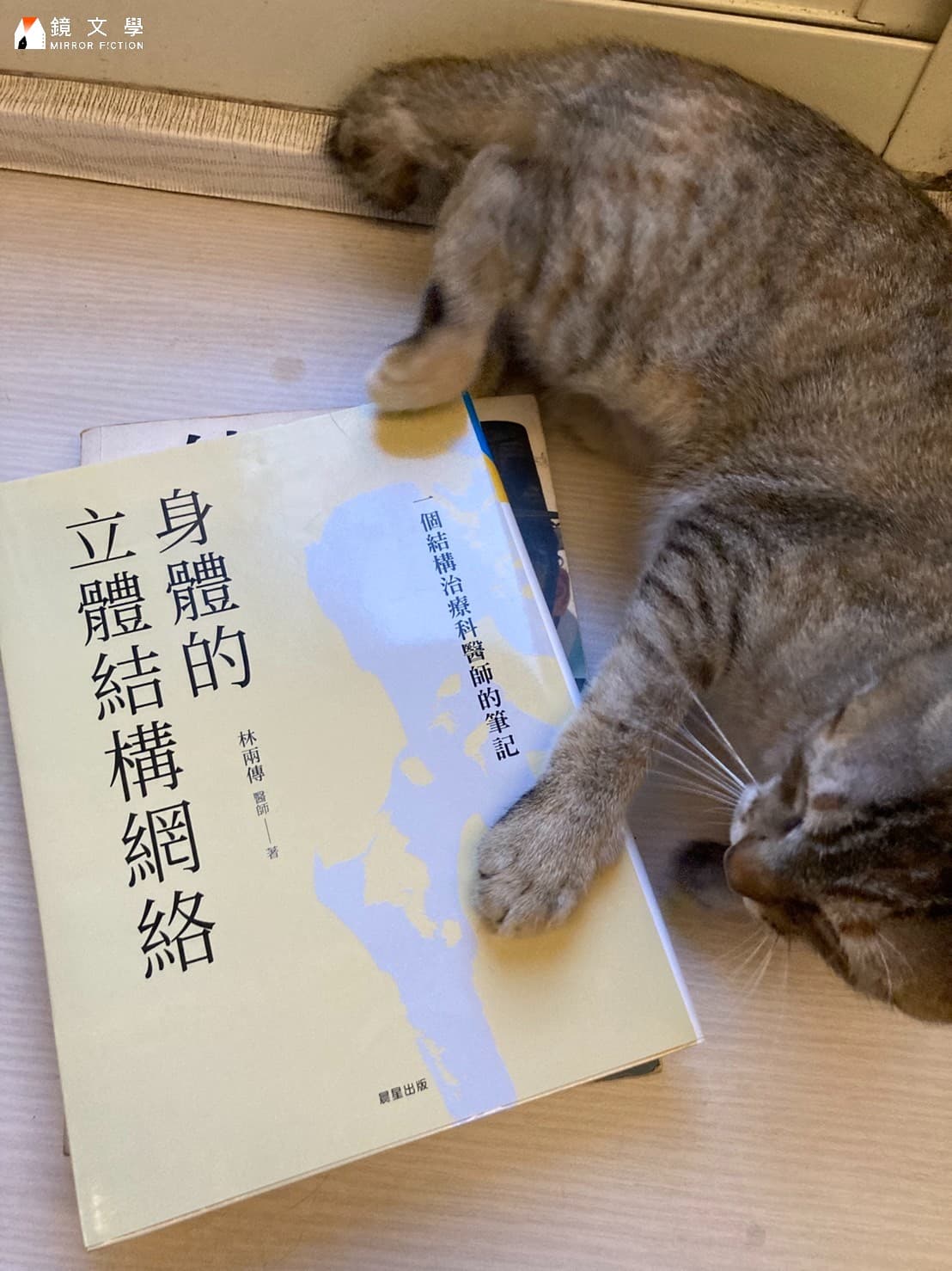 為研究中醫,孫明立從古籍到當代研究都有涉獵。(孫明立提供)