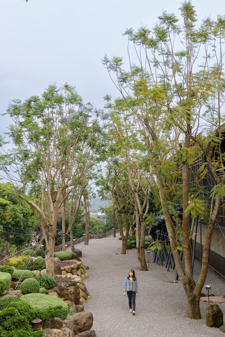 春夏時間到了，微風把藍花楹樹梢上成串的藍紫色小花吹落，此景即是「飛花落院」的意象。