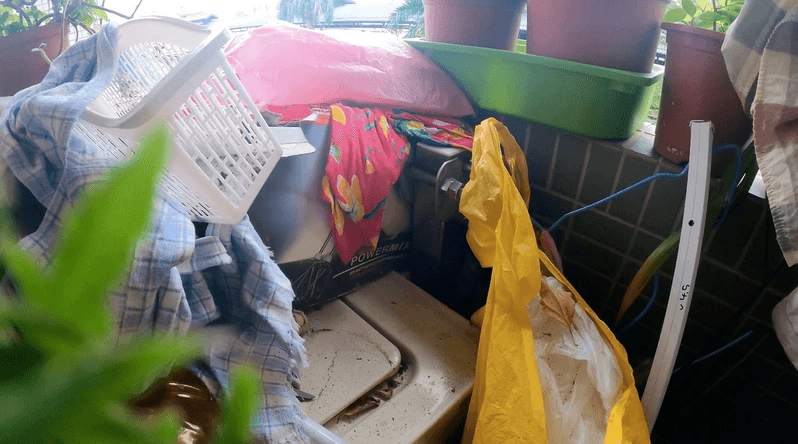 永和秀郎青年社宅有住戶亂放雜物，影響到消防安全和環境衛生，遭住都中心強制退租。（翻攝畫面）