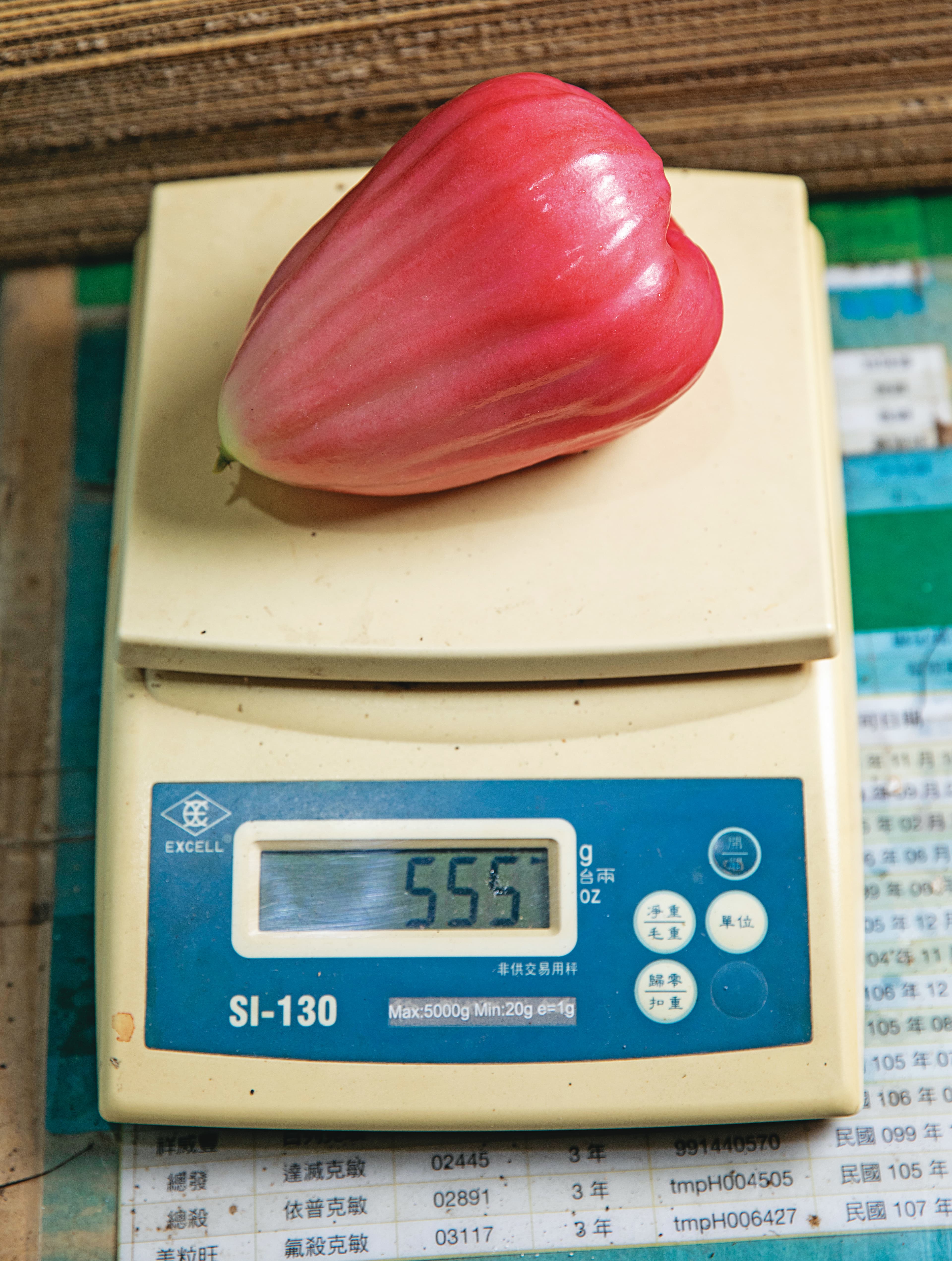 三千胭脂果型碩大飽滿，單顆重量可近1台斤，夏果會有獨特粉紅漸層色澤。（3,000元/顆）