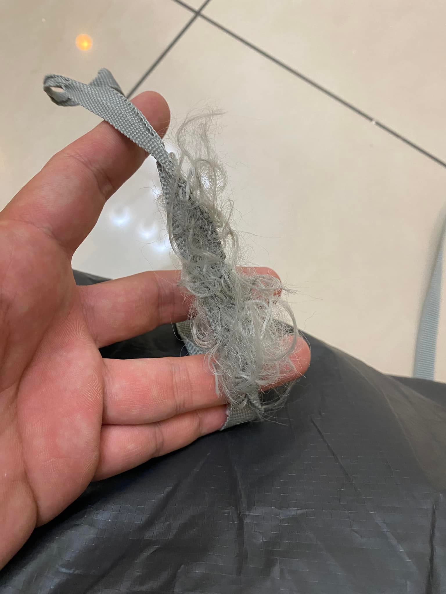帳篷的尼龍繩成毛團狀。(翻攝Costco好市多 商品經驗老實說臉書)