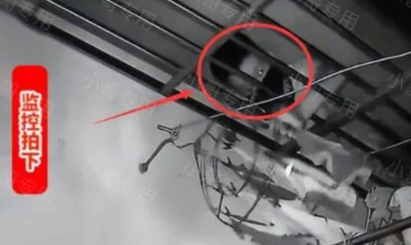 透過監視器看到內褲被一名男人偷走的過程，令女子相當崩潰。（翻攝《中國報》）