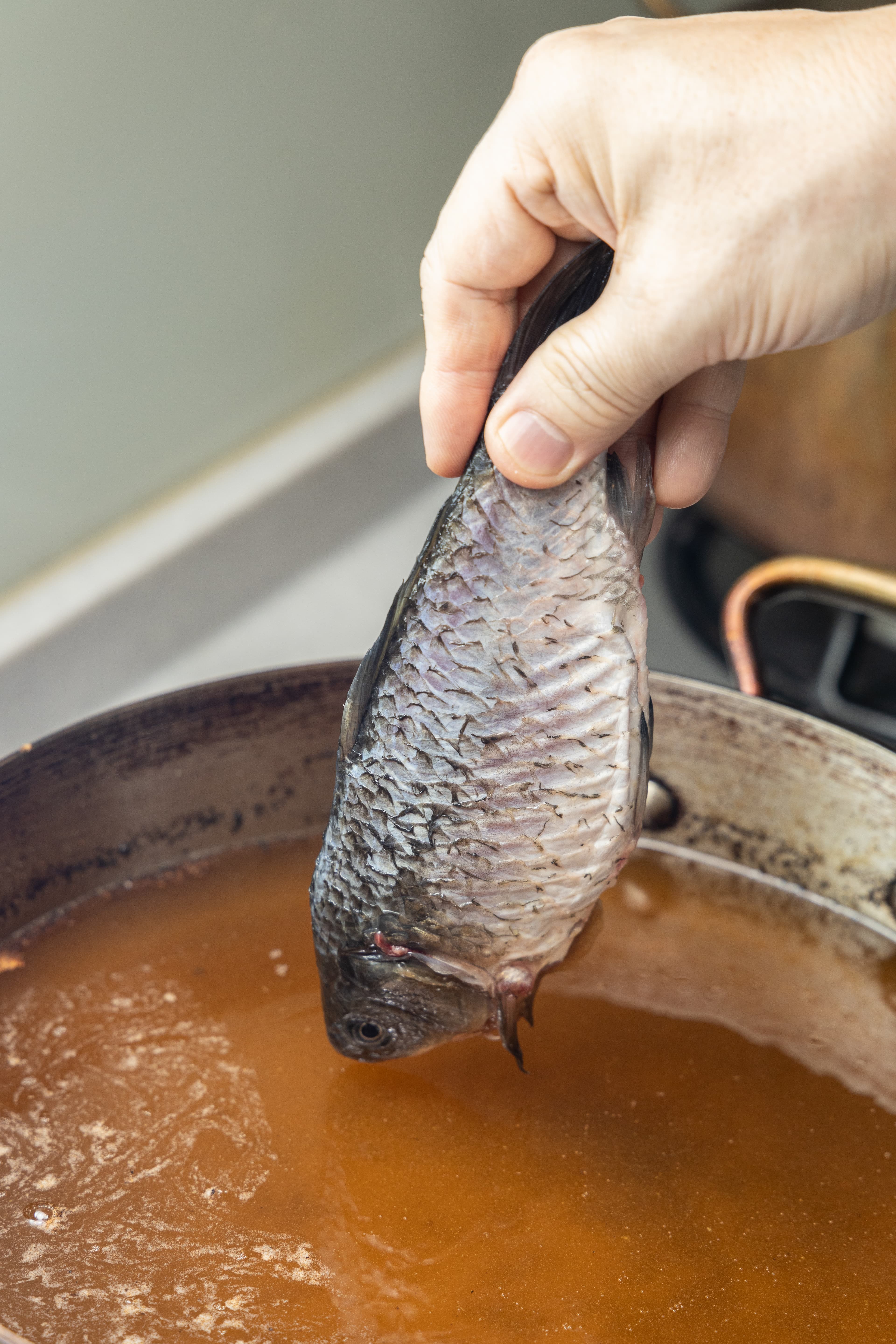 將鯽魚徐徐放入。