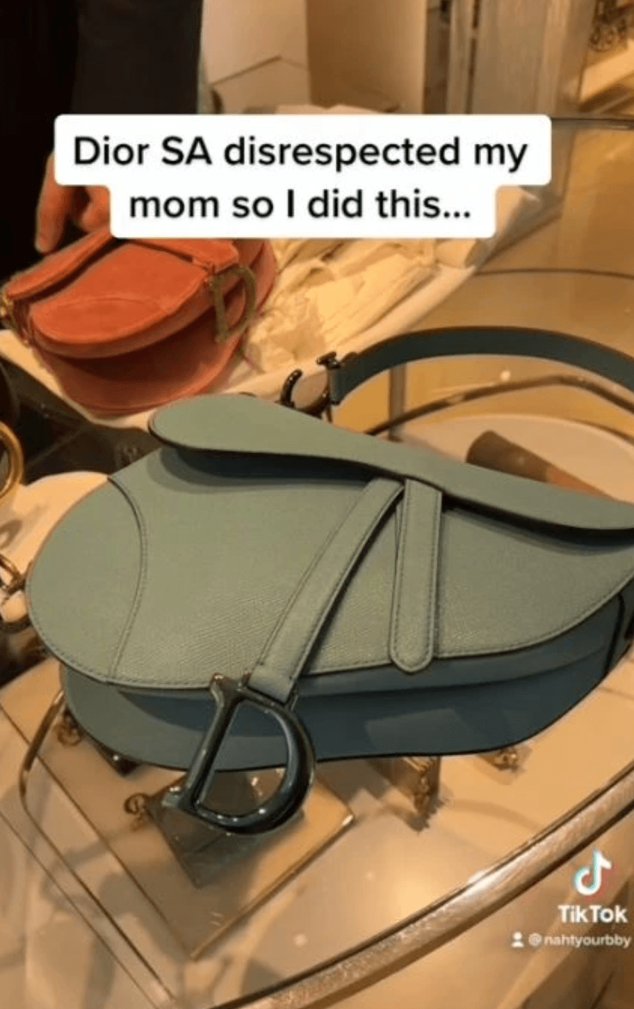 母女倆買了許多DIOR包包。(翻攝nahtyourbby抖音)