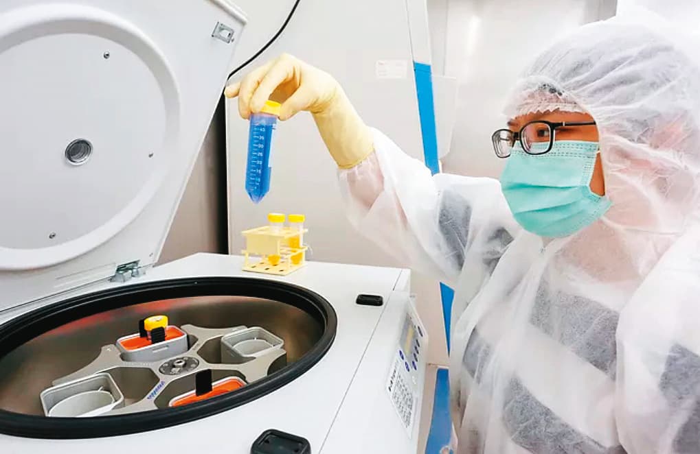 長春藤生命科學要從細胞治療、細胞儲存庫邁向細胞新藥開發。(翻攝長春藤生命科學官網)