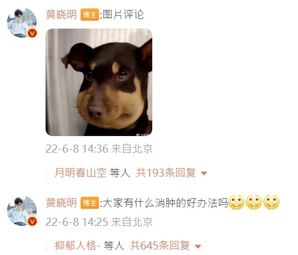黃曉明PO了一張方臉的狗狗照片自嘲。(翻攝自黃曉明微博)