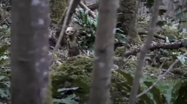網路影片聲稱在台中大坑拍到「魔神仔」,查核平台揭穿謠言。(翻攝網路)