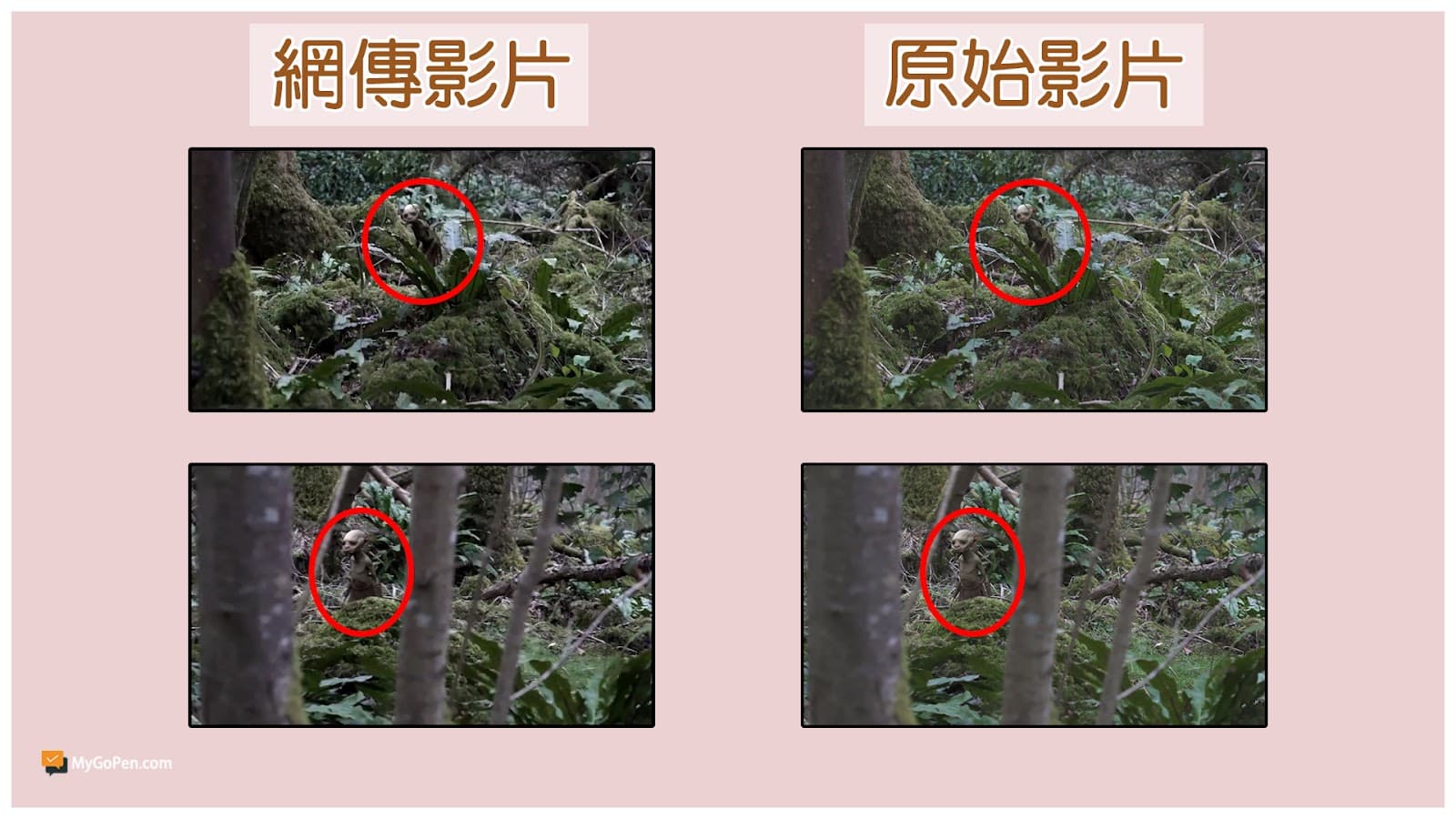MyGoPen比對台灣網傳的影片,和YouTube頻道Erwin Saunders的影片,確定其畫面拍攝地為英國。(翻攝自MyGoPen)