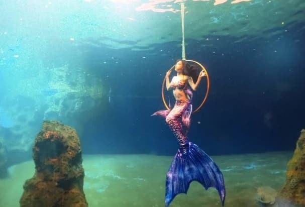 一名女網友在Dcard分享職業美人魚的工作內容,讓網友們大開眼界。(翻攝自Dcard)