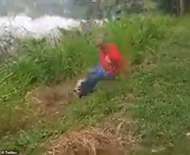 醉男對鱷魚挑釁,鱷魚立刻反撲。(翻自推特)