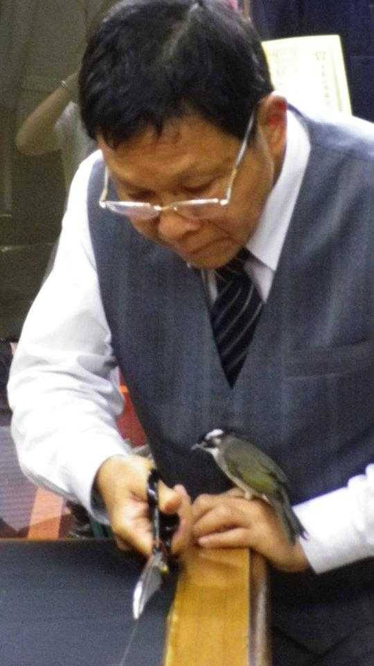 呂銘置做西服五十多年,豐富經驗讓他無須打板就可以在布料上直接作業。(呂紹白提供)