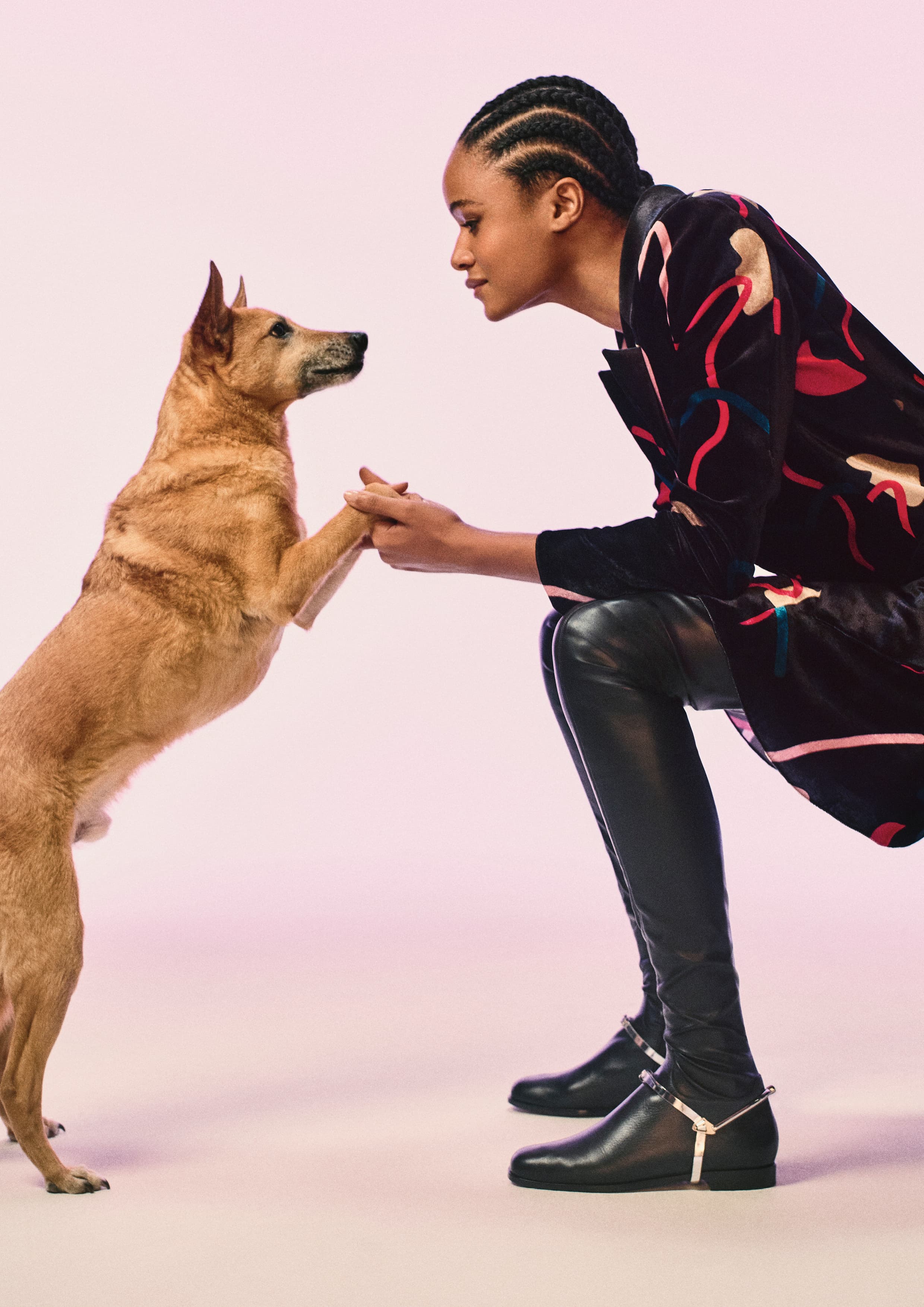 人類與愛犬的親密互動展現了彼此之間的真摯情誼。(台元紡織提供)