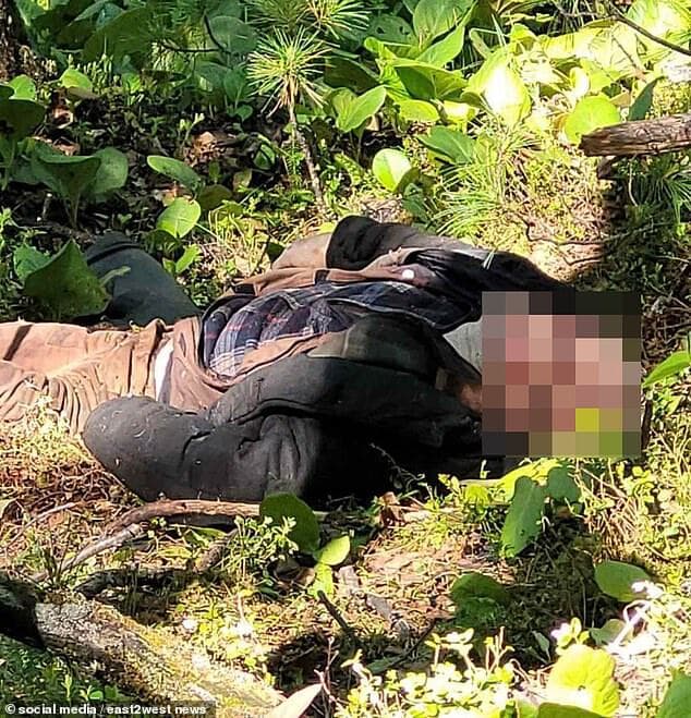 獵人反遭棕熊攻擊頭骨碎裂慘死。(翻自英國《每日郵報》)