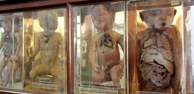 該博物館存放許多醫療珍貴資料。(翻自th.tripadvisor.com)