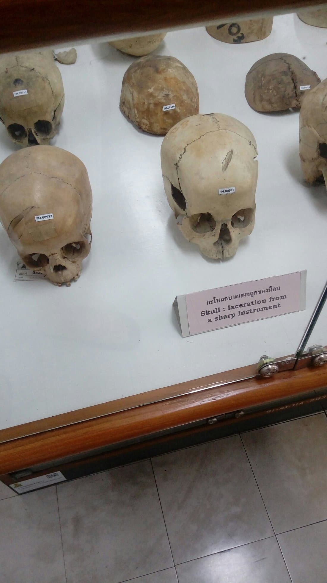 這些都是真遺體。(翻自th.tripadvisor.com)