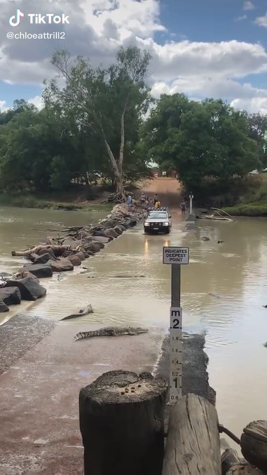此處是著名的鱷魚棲息地。(翻自TikTok)