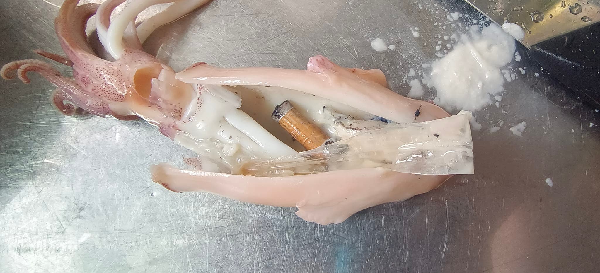 有網友貼出小卷度子裡竟是香菸的照片,引發熱議。(翻攝爆廢公社公開版)