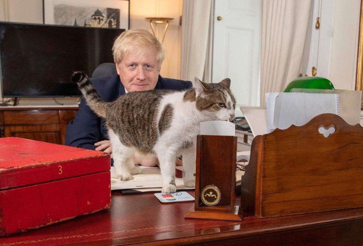 賴瑞(前)是英國「首席捕鼠大臣」,地位無可動搖。(翻攝Boris Johnson推特)