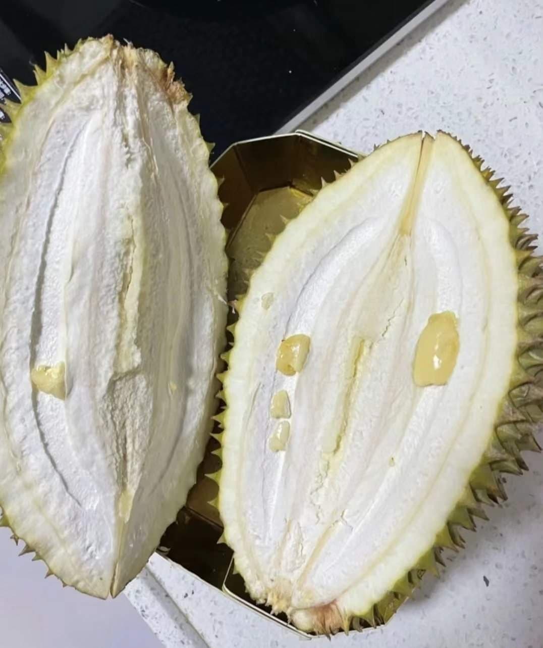 有網友買榴槤回家切開後驚呆,竟挑到果肉超少「不懂事的榴蓮」。(翻攝自爆廢公社)