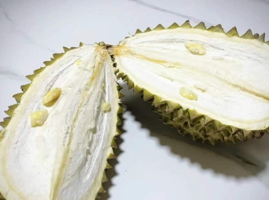 有網友買榴槤回家切開後驚呆,竟挑到果肉超少「不懂事的榴蓮」。(翻攝自爆廢公社)