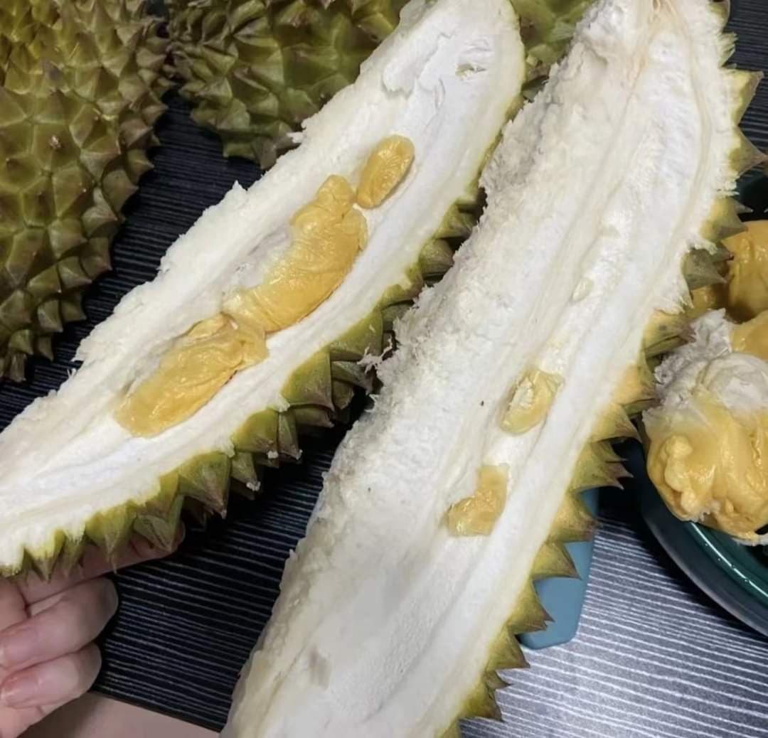 有網友買榴槤回家切開後驚呆,竟挑到果肉超少「不懂事的榴蓮」。(翻攝自爆廢公社)