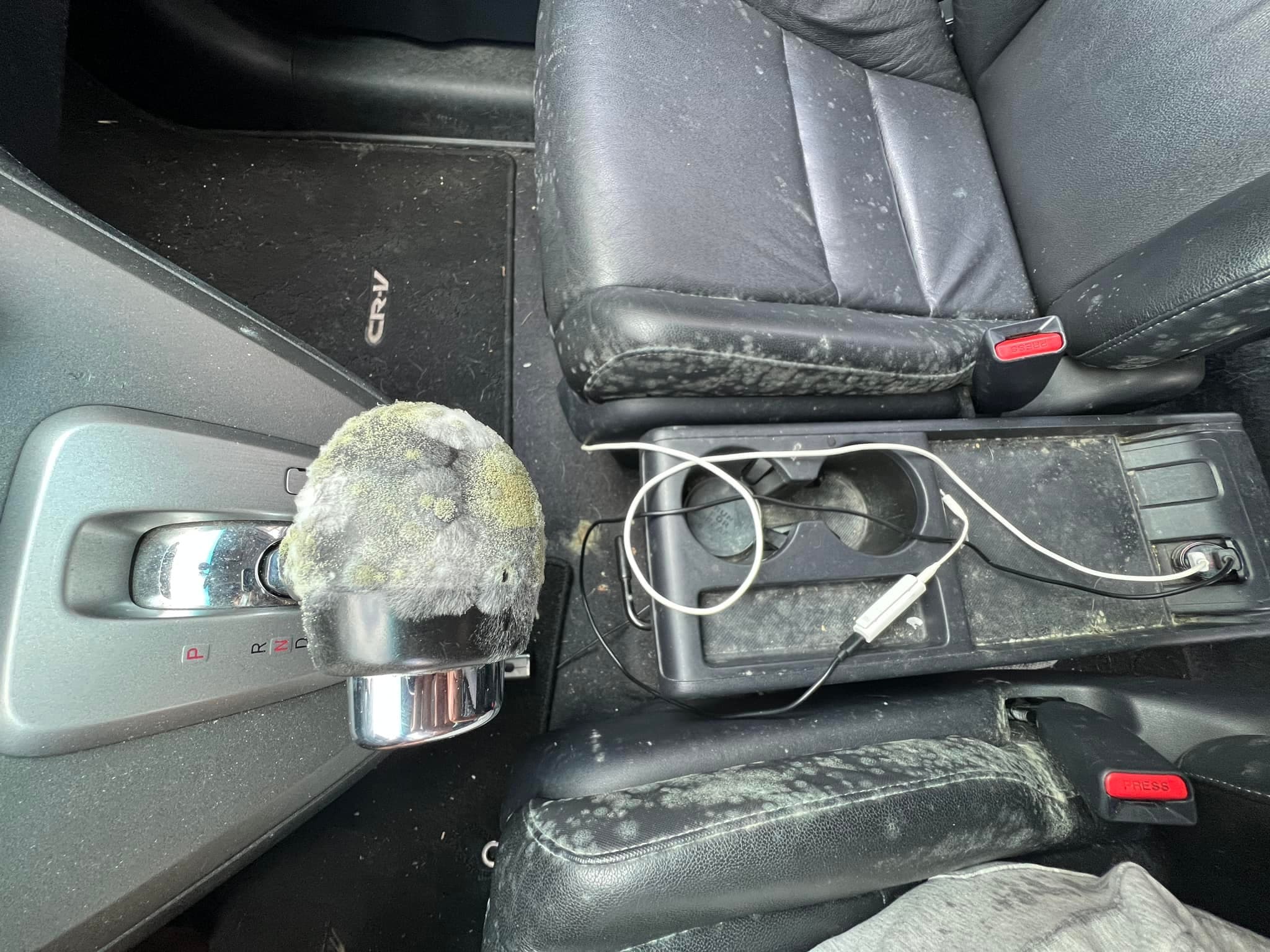 陳彥博的車子長出超多黴菌,甚至連排檔桿上都是。(翻攝自陳彥博 Tommy Chen臉書)