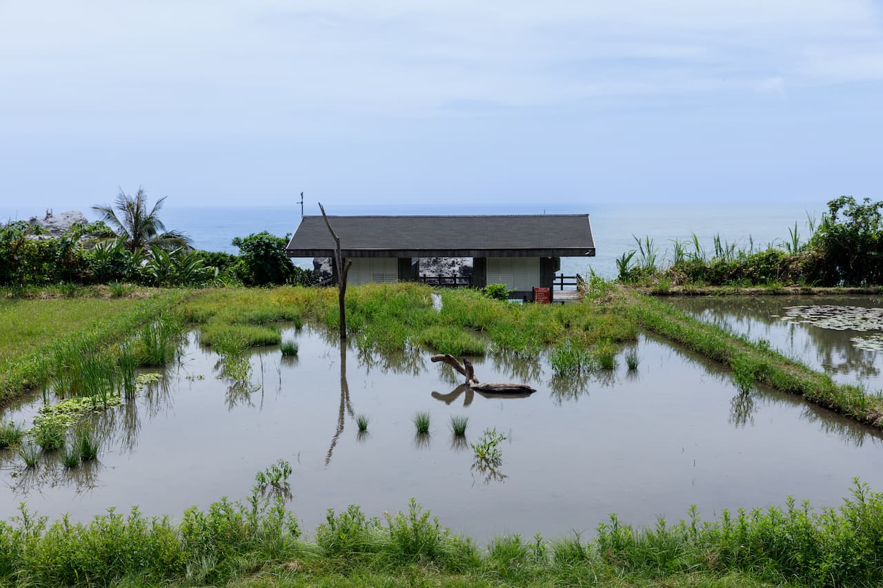 海梯田濕地傍海重生,讓原生動植物得以重返棲息。