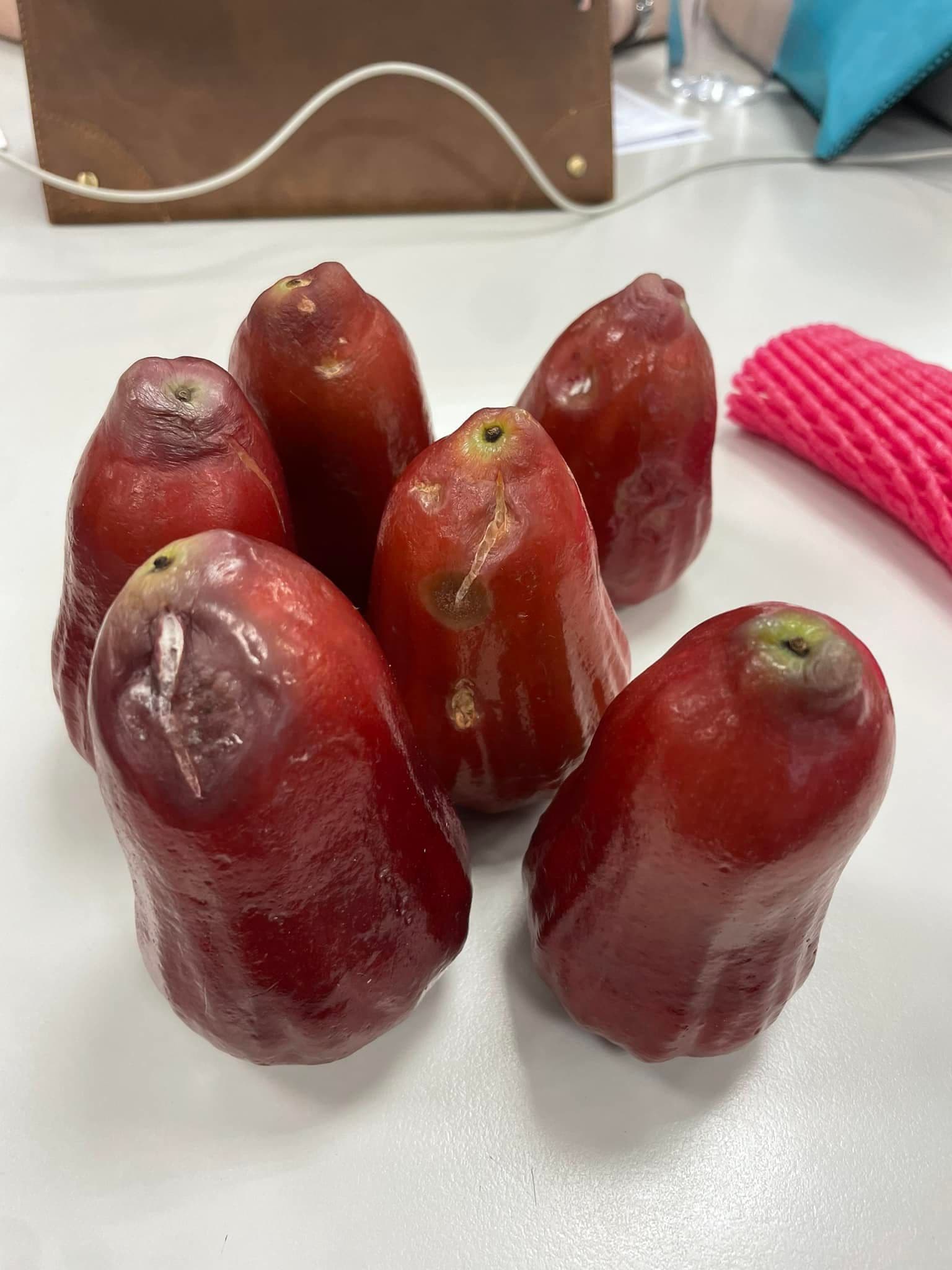 一名女子抱怨店家坑殺觀光客，一箱超過一半的蓮霧是品質不佳的。（翻攝自爆怨公社）