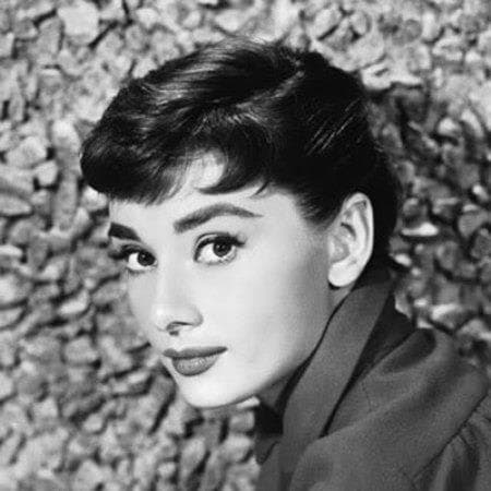 網友認為裴洛西激似奧黛麗赫本。(翻攝Facebook Audrey Hepburn)