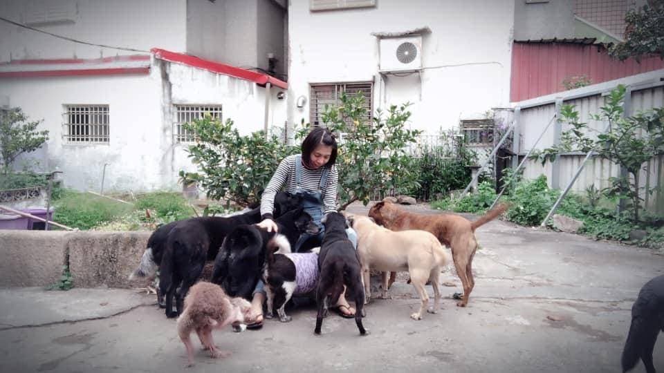 賴庭甄救援動物已16年,自己也認養了11隻狗和8隻貓。(賴庭甄提供)