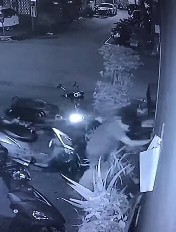 監視器拍下馬男狠踹兔子的殘忍行徑。(翻攝畫面)