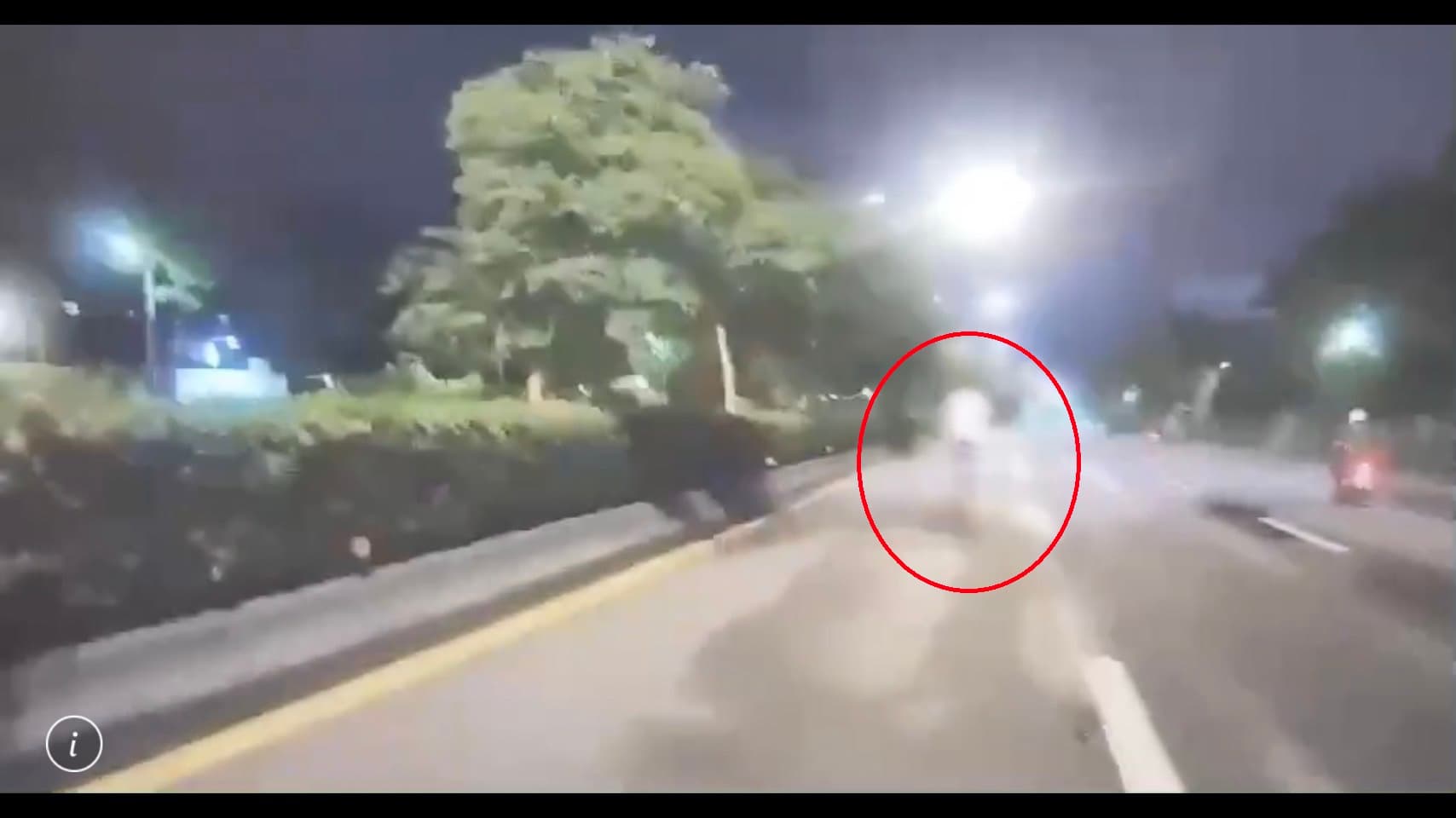 吳男肇事後下車查看，卻又立即上車加速駛離。（翻攝畫面）