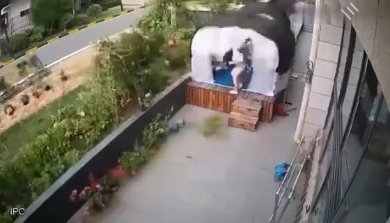 女子整理花棚。(翻自微博)