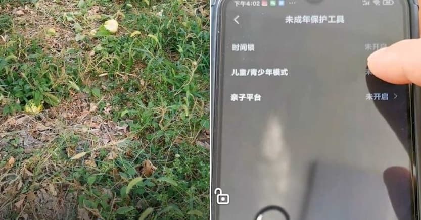 87歲老翁沉迷手機後,菜園都荒廢了,女兒於是偷偷將他的手機影片平台設為兒少模式,限制使用時間。(翻攝《九派新聞》)