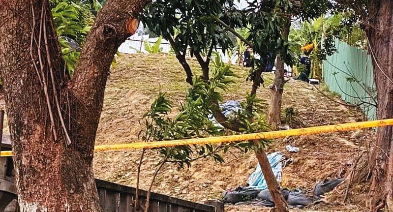 董姓男子將嬰屍棄置於公墓園區,導致嬰屍頭部遭野狗啃咬。(翻攝畫面)