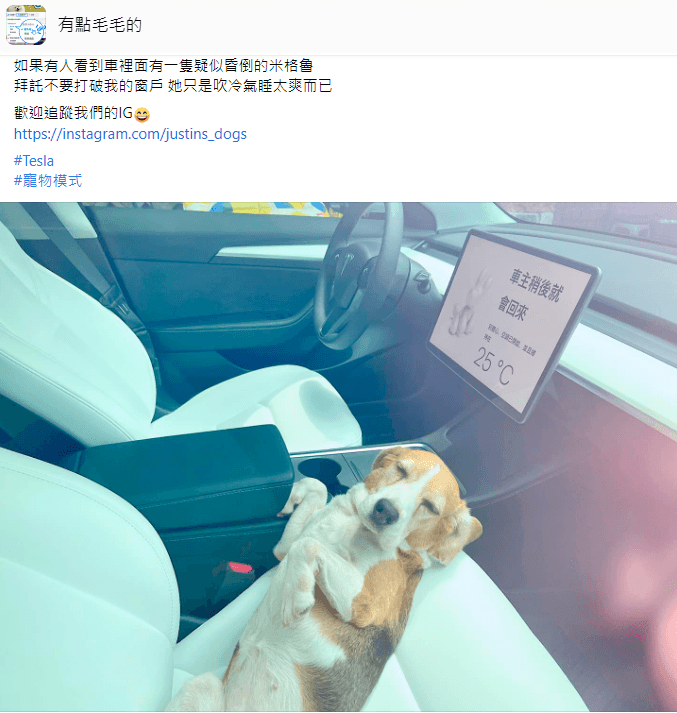 米格魯在車上爽吹冷氣。（翻攝自有點毛毛的臉書）