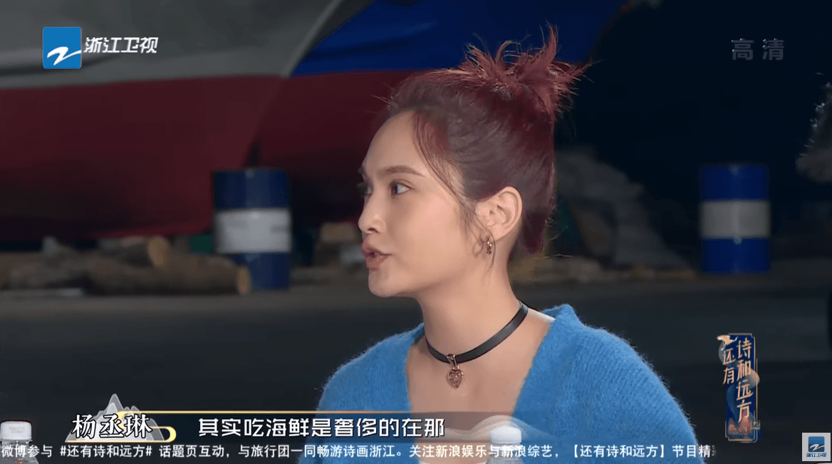 楊丞琳的「海鮮奢侈論」,引發台灣網友熱議。(翻自YouTube畫面)