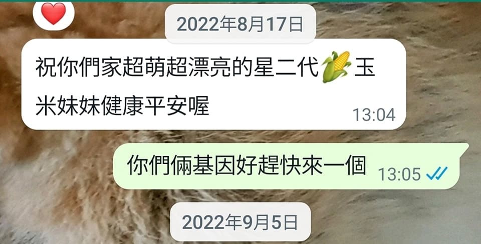 黃子佼上個月才與吳姍儒聯繫,翻到對話紀錄才恍然大悟懷孕一事有跡可循。(翻攝自黃子佼臉書)