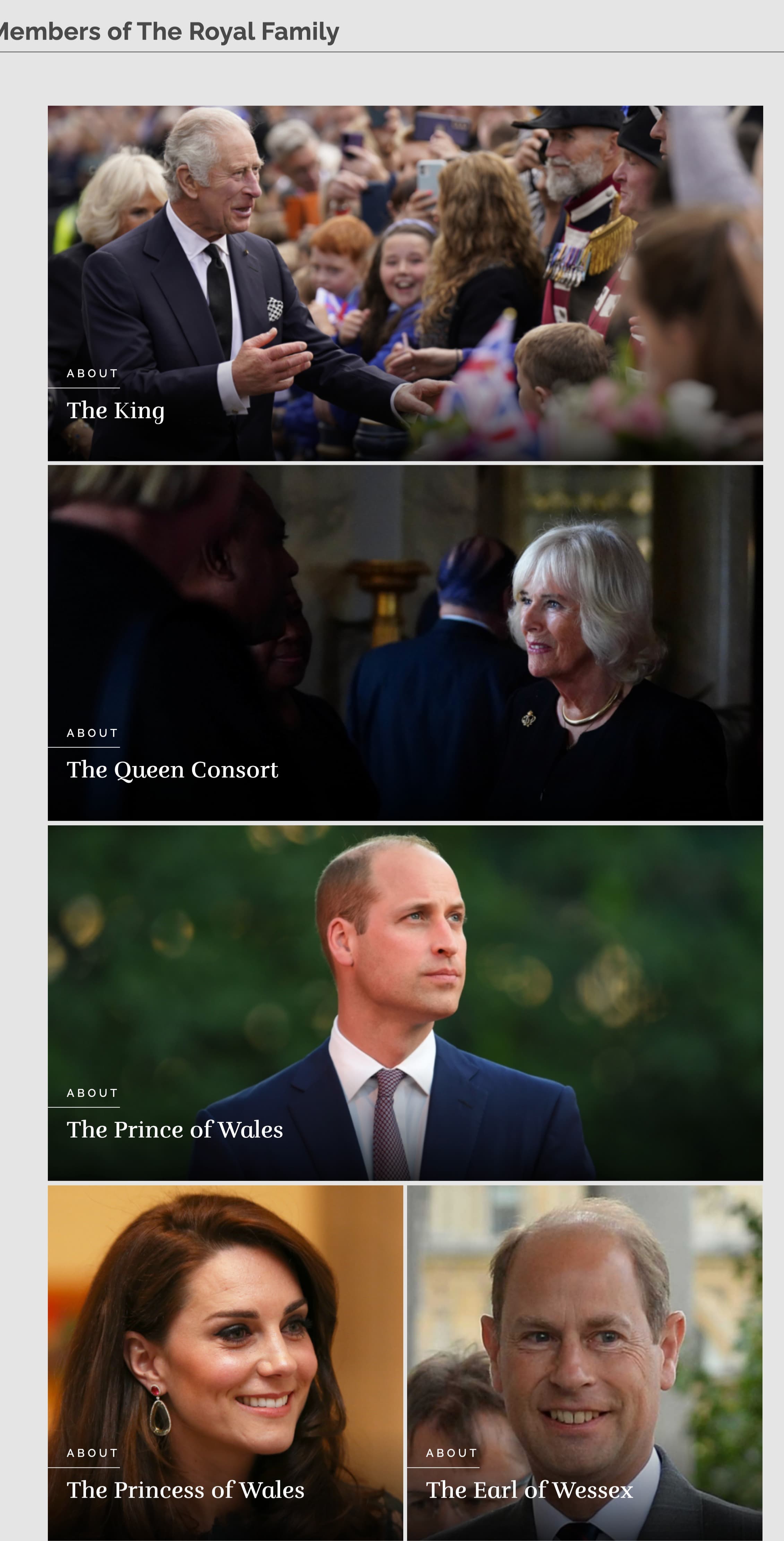 英國王室成員介紹頁面,國王、王后、威廉王子、凱特王妃都排在前面4名。(翻攝royal.uk官網)