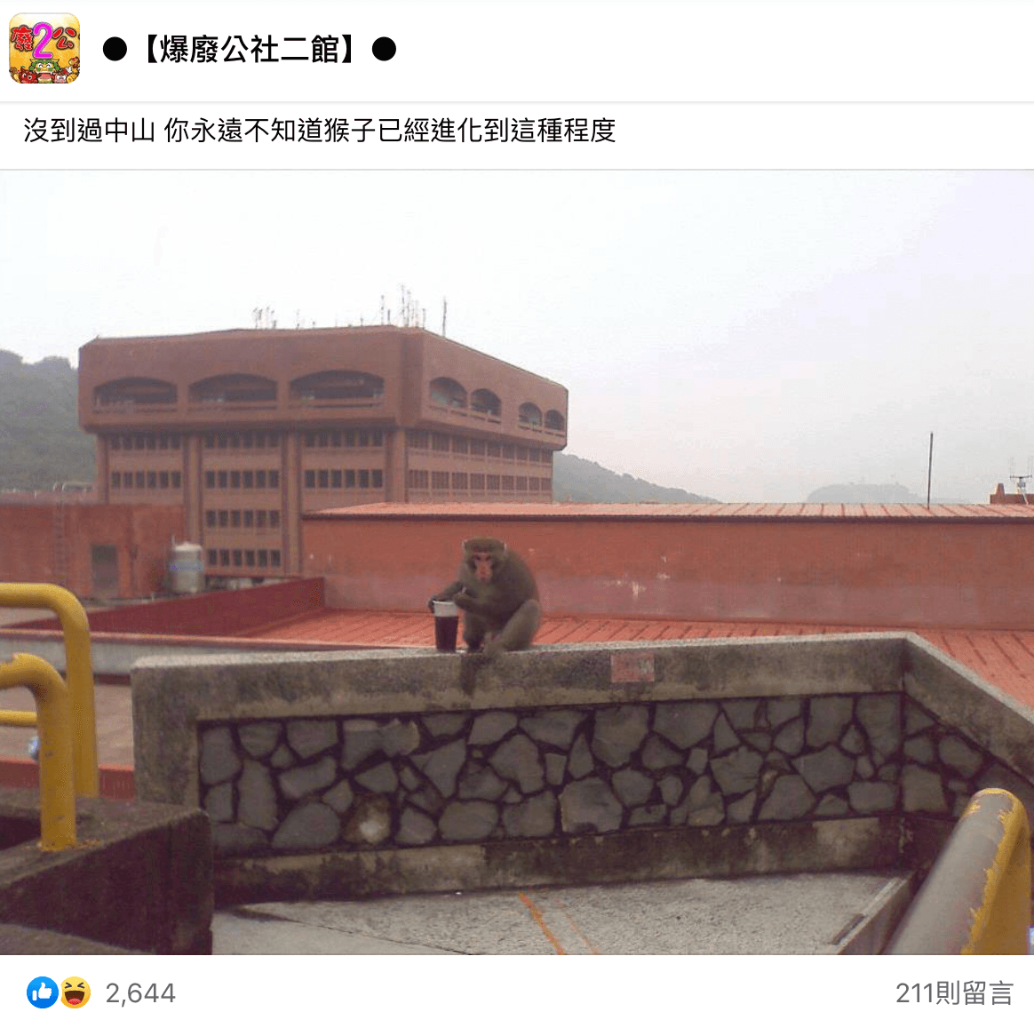 中山大學的猴子會自己插吸管喝飲料。(翻攝自爆廢公社二館)