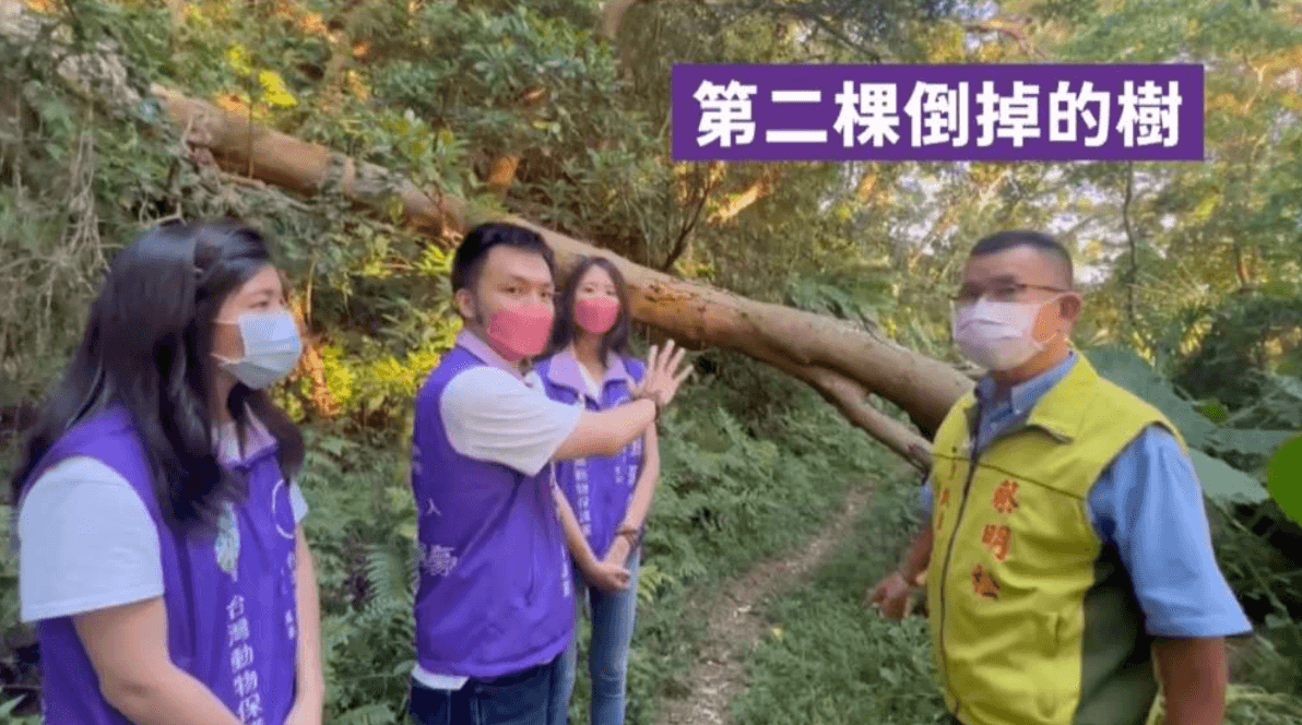 動保黨直擊,天和公園周邊步道不僅垃圾久未清理,其中一顆路樹已倒下2年無人處理。(動保黨提供)