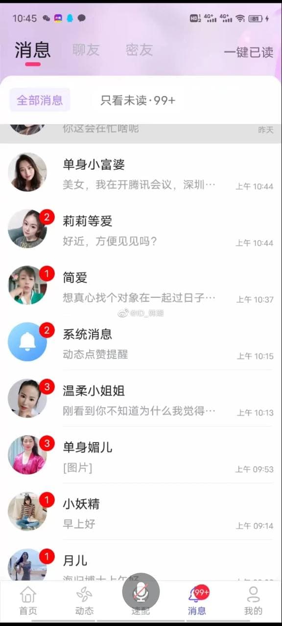 鮑靈光刷一排的「女友們」。（翻自推特）