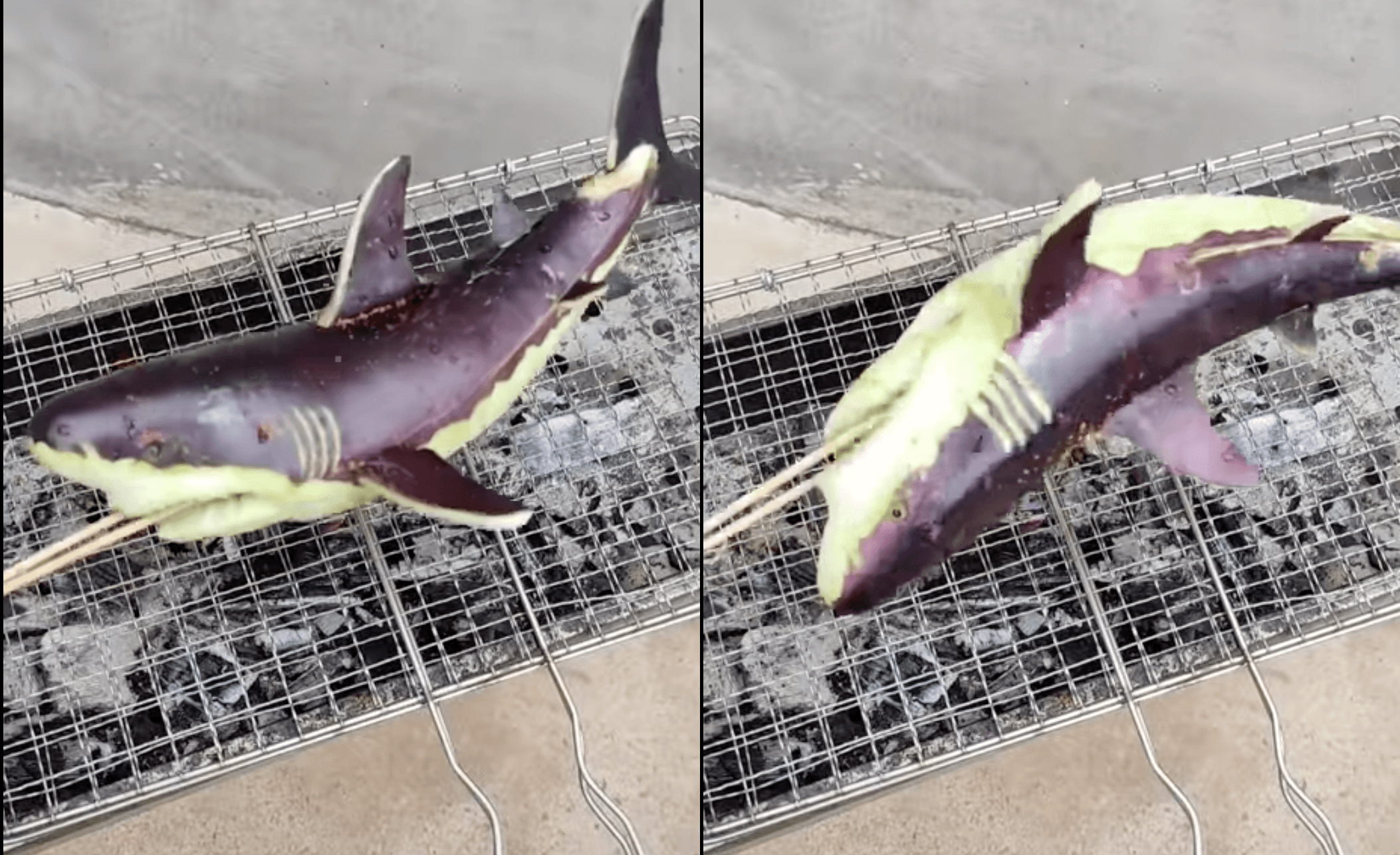 一名網友近日分享將茄子雕成鯊魚烤的畫面,獲得其他網友大讚。(翻攝自●【爆廢公社公開版】●)