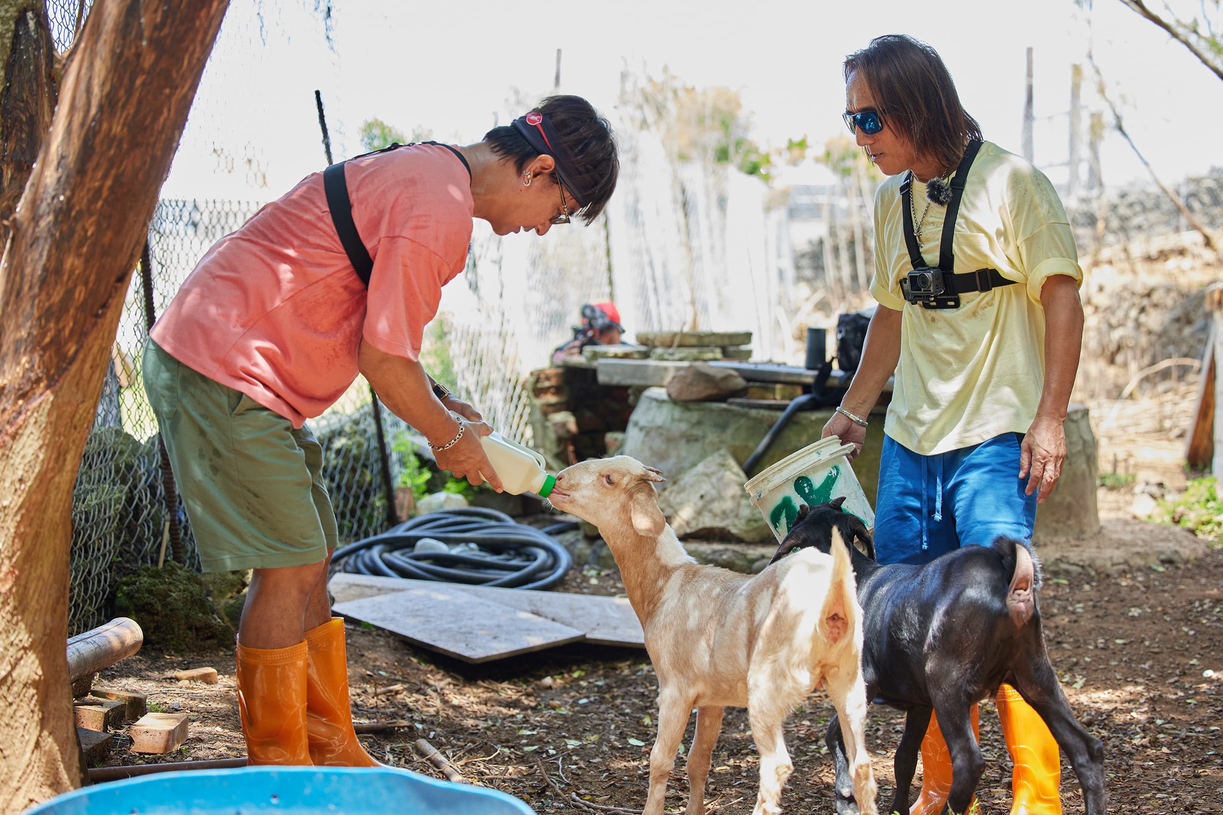尤秋興起床後以園長職責前往動物園餵羊,他童趣地與羊兒們對話。(灰人文化提供)
