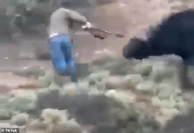 水牛不爽被射,反對卡納雷斯攻擊。(翻自《每日郵報》)