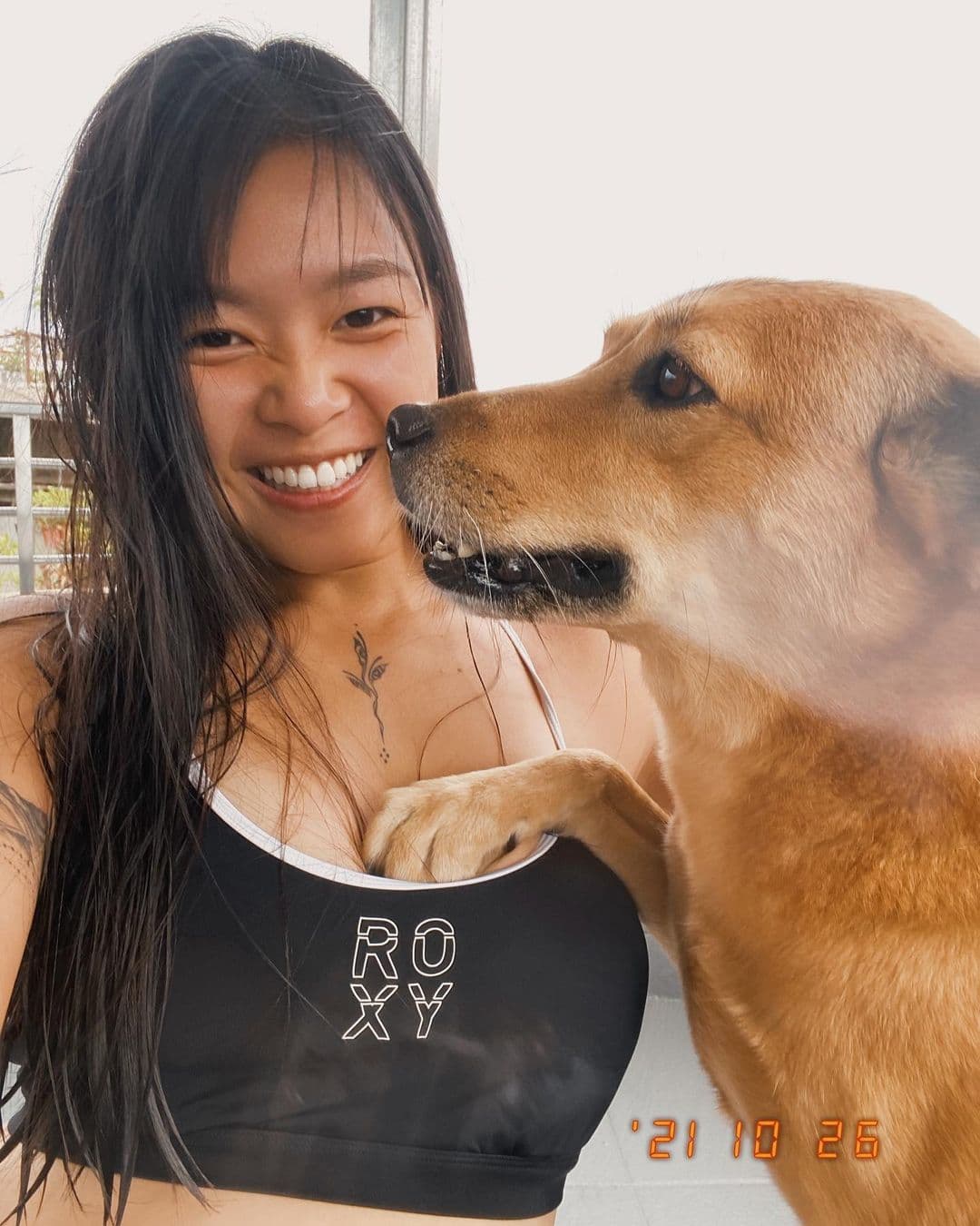 正妹獸醫曾因狗狗襲胸罩而登上表特版引起鄉民熱議。(翻攝IG @ffffeifffei)